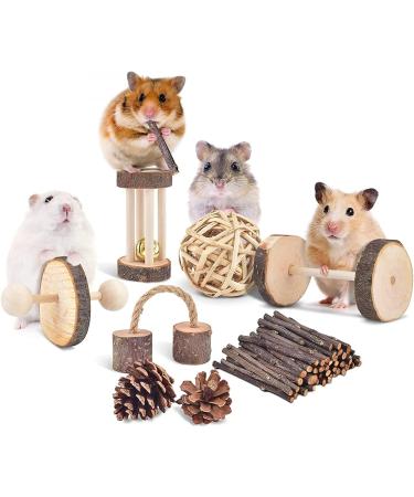 ERKOON Small Animal Chew Toys - Natural Wooden Accessories for Hamsters, Guinea Pigs, Gerbils, Rats, Chinchillas - Boredom Breaker, Teeth Molar Exercise - Play Bridge, Roller, Dumbbells - Buy Online on SooperMarket.com