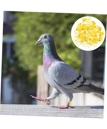 300 Pcs Pigeon Anklet Baby Items Baby Clips Bands for Pigeon Foot Ring for Pigeon Ring Clamp Chicken 1.3X1.3CMx3pcs Yellowx3pcs - Buy Online on SooperMarket.com