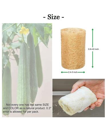 Natural Loofah Sponge Shower Exfoliating Bath Body Scrubber - 6pcs - Buy Online on SooperMarket.com
