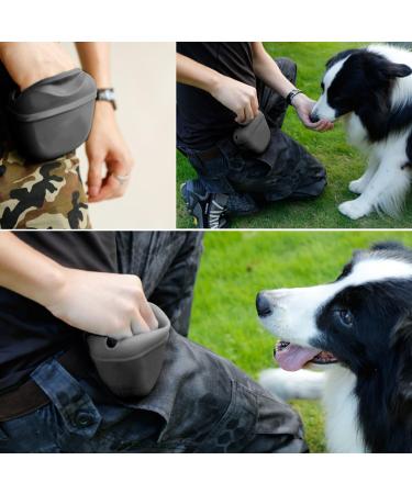 Buy Nyggtyk 2-Piece Silicone Dog Food & Snack Bags - Durable Pet Training Bags (Dark Gray) - Buy Online on SooperMarket.com