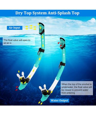 JARDIN Dry Snorkel Set | Panoramic View Anti-Fog Diving Mask | Free Breathing & Adjustable Strap | Professional Snorkeling Gear for Adults | Teal - Buy Online on SooperMarket.com