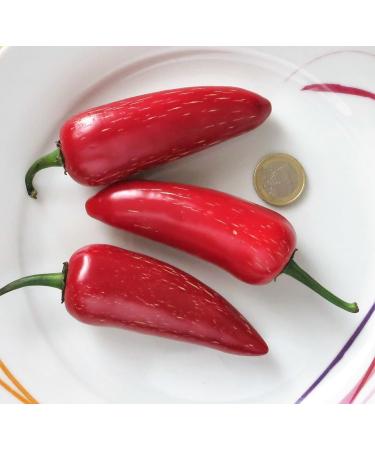 Chili Set: 20 Unique Varieties of Hot & Spicy Pepper Seeds - Worldwide Shipping - Buy Online on SooperMarket.com