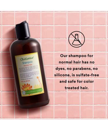 Just Nutritive Normal Hair Shampoo | Best Shampoo for Normal Hair | Fresh & Healthy Hair | International Shipping Available - Buy Online on SooperMarket.com