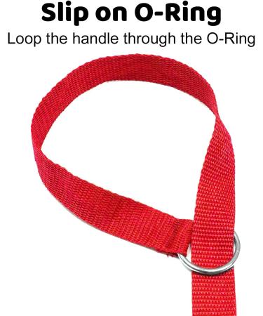 Downtown Pet Supply 6ft Dog Kennel Slip Lead Leash - Veterinarian Approved for Grooming, Daycare & Rescue - Bulk Pack of 6 Thick Leashes for Dogs - Buy Online on SooperMarket.com