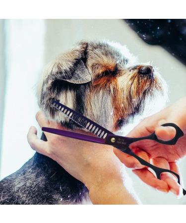 Professional Purple Dragon Pet Grooming Scissor Set - Japan 440C Stainless Steel Chunker Shear for Pet Groomers and DIY - 7.0/8.0 inch Hair Cutting Scissor + 6.75/8.0 inch Dog Shear - Buy Online on SooperMarket.com