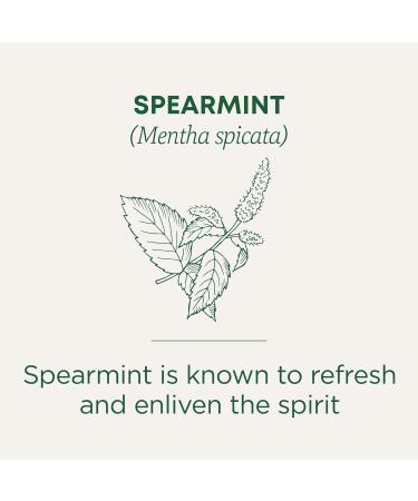 Traditional Medicinals - Organic Spearmint Herbal Tea (Pack of 6) - Refreshing and Minty - 96 Tea Bags Total Tea Spearmint 16 Count (Pack of 6) - Buy Online on SooperMarket.com