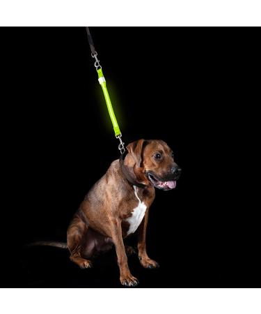 Furhaven Pet Hands-Free Bungee Dog Leash with LED Collar and Safety Features - Multiple Colors and Sizes - Buy Online on SooperMarket.com