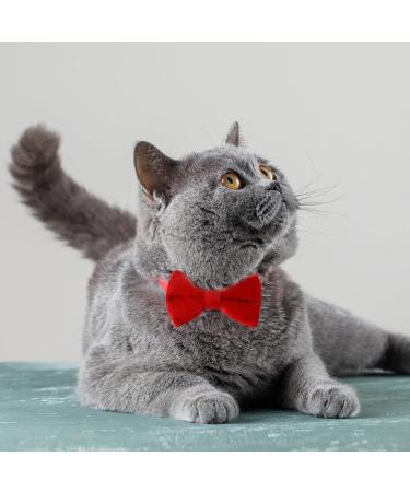 Personalized Cat Collars with Bells - Adjustable Pet Safety Collars for Small Dogs & Cats - 2 Pack in Red & Black - Buy Online on SooperMarket.com