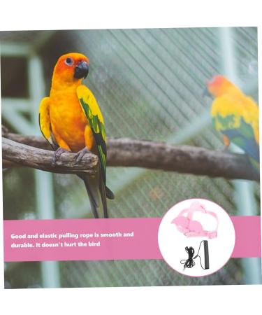 Beavorty 4 Sets Bird Leash Suspend Bird Training Bird Flying Harness Bird Harness Leashes Vest Clothing 12X6X1.3CMx4pcs Pinkx4pcs - Buy Online on SooperMarket.com