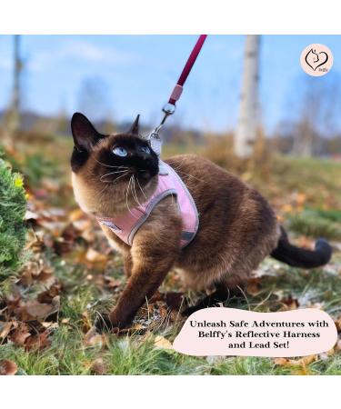 Buy Belffy Cat Dishes & Leash Set - Automatic Leash for Cats Kittens & Dogs - Stylish Pink Jacket for All Pets - Buy Online on SooperMarket.com