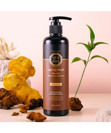 Daeng Gi Meo Ri Gold Shampoo & Ki Gold Cushion Combo - Korean Hair Care for Gray Hair Darkening & Scalp Coverage - Buy Online on SooperMarket.com