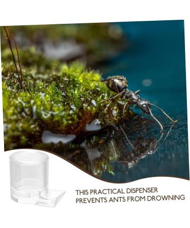 GRIRIW Pet Water Feeder Ant Water Feeders Ant Waterer Cup Water Feeding Cup for Ant Nest Clear Ants Feeder Ant Keeper Tools Ant Feeding Cup Ant Watering Cup Ant Keeping Ant Bottle Feeder - Buy Online on SooperMarket.com