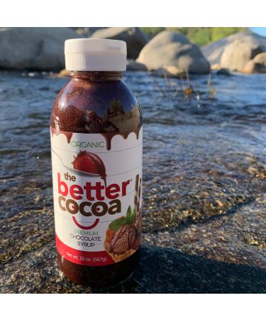 Premium Organic Chocolate Syrup - 20 oz | Vegan, Non-GMO, Low Glycemic | Made With Agave - Buy Online on SooperMarket.com