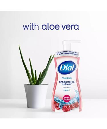 Dial Antibacterial Foaming Hand Wash - Power Berries 7.5 Oz Pump Bottle | Bulk 8/Carton - Shop Now - Buy Online on SooperMarket.com