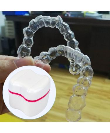 Denture Box Retainer Case Denture Storage Bath Box Denture Holder Box Cleaning Box Lightweight and Portable Cleaning Box with Filter (L Blue) L Blue - Buy Online on SooperMarket.com
