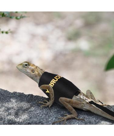 Shop Bartagame Leash & Dishes for Reptiles - Adjustable Linen Leash & Accessories for Amphibians Chameleons & Small Pets - Perfect for Outdoor Security & Walks - Buy Online on SooperMarket.com