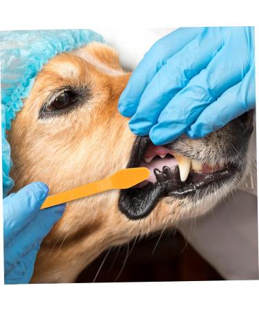Kisangel 30 pcs Dual-head Handheld Clean Supplies Cat Nylon Oral Cleaning Brush Small Pet Puppy Portable 1 count (Pack of 1) Assorted Colorx3pcs - Buy Online on SooperMarket.com