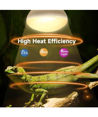 Shop Caldarax 100W Reptile Heat Lamp - Dual E27 UVA Daylight Terrarium Sunlamp for Turtles & Lizards | Perfect Basking Spot - International Shipping Available! - Buy Online on SooperMarket.com