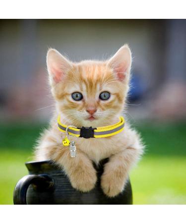 5 Pieces Address Pendant Collars for Cats & Dogs | Durable Animal ID Tags | Perfect for Small Breeds - Buy Online on SooperMarket.com