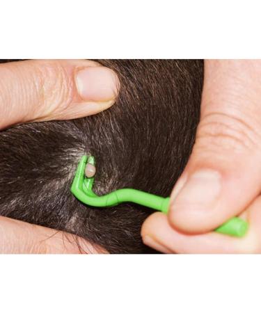 ILamourCar Tick Remover Tools for Dogs 4pcs Tick Removal Tool Set Painlessly Tick Remover for Dogs Cats Horses and Humans Pets - Buy Online on SooperMarket.com