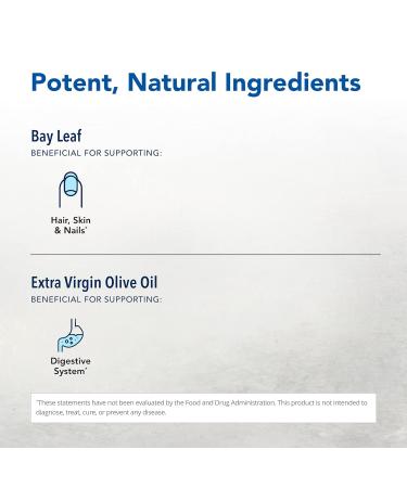 North American Herb & Spice Wild Oil of Bay Leaf 1 fl oz - Organic Non-GMO Skin & Hair Support - 286 Servings - Buy Internationally - Buy Online on SooperMarket.com