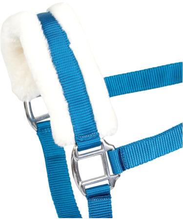 RL24 Halter with Plush Padding - BASICLINE in 6 Colors for Shetty Pony Thoroughbred Warmblood | Turquoise Shetty - Buy Online on SooperMarket.com
