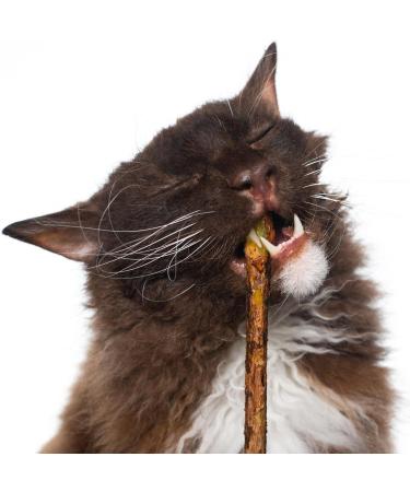Aidiyapet Cat Catnip Sticks Cat Chew Sticks Cat Catnip toys Matatabi Silvervine Chew Sticks Cat Dental Chews for Cat Teeth Cleaning Cat Toys for Indoor Cats 30 Count (Pack of 1) - Buy Online on SooperMarket.com