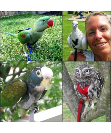 The Aviator Bird Harness for Small Birds - Red | Secure & Stylish Flight Experience - Buy Online on SooperMarket.com