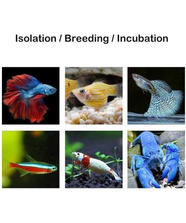 J-star Aquarium Breeder Box - Baby Fish Separator & Incubator Divider - Buy Online on SooperMarket.com