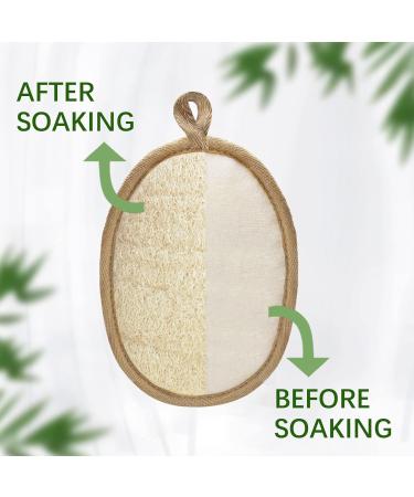 2 Pack Natural Loofah Body Scrubber | Eco-Friendly Exfoliating Shower Sponge for Women and Men - Buy Online on SooperMarket.com