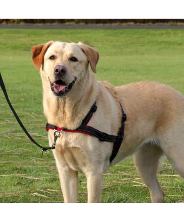 Buy Trixie Trainer Crockery Lead'n'Walk Soft Size M-L (55-90cm) | Anti-Draw & Adjustable for Medium Dogs - Neoprene Padded - Black (13056) - Buy Online on SooperMarket.com
