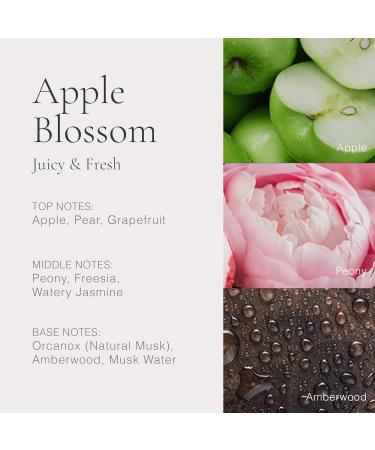 CLEAN CLASSIC Eau de Parfum Light Casual Perfume Layerable Spray Fragrance Formulated with Vegan Phthalate-Free & Paraben-Free Ingredients 1 Fl Oz (Pack of 1) Apple Blossom - Buy Online on SooperMarket.com