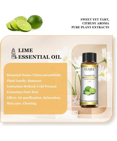 EUQEE Lime Essential Oil 10ml Pure Natural Lime Oils Aromatherapy Essential Oils for Diffusers for Home Relax Humidifiers Lime 10.00 ml (Pack of 1) - Buy Online on SooperMarket.com