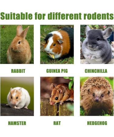 TOKAYIFE Rabbit Chew Toys 210g Rabbit Treats Natural Timothy Hay Sticks Boredom Breakers for Rabbits Chinchillas Guinea Pigs Hamster Hedgehogs (20 pcs) 20 Count(1 pack) - Buy Online on SooperMarket.com