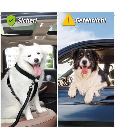 Buy Taval Adjustable Dog Seat Belt for Small & Large Dogs - Safe Car Travel | ISOFIX Compatible - Buy Online on SooperMarket.com