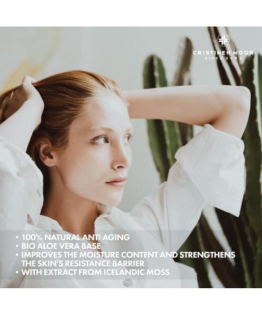 Face Cream With Ceramides Hyaluronic Acid & Iceland Moss Extract 50ml Certified Organic Day & Night Cream For Men & Women Anti Aging & Anti Wrinkle All Skin Types - Buy Online on SooperMarket.com