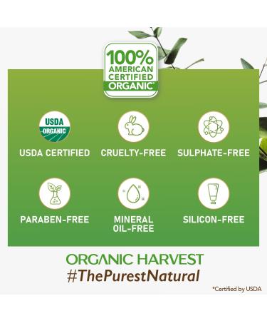 Moisturizing Lip Butter - Rose | Tinted Organic Lip Balm for Women Men & Kids | 100% American Certified Organic | 4g - Buy Online on SooperMarket.com