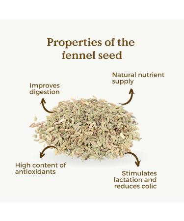 Fennel Seeds Organic 200g (100 Cups) | Organic Fennel Tea Herbal Tea and Digestive Tea REPLANTEA - Buy Online on SooperMarket.com
