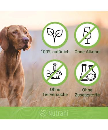 Nutrani Dog Shampoo with Argan Oil & Aloe Vera - Nourishing pH-Neutral Formula for Sensitive Skin & Shiny Fur - 500ml - Buy Online on SooperMarket.com