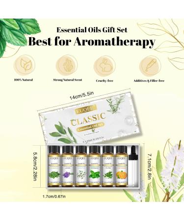 EUQEE Essential Oils Set - Lavender, Eucalyptus, Peppermint, Tea Tree, Sweet Orange, Lemongrass - 100% Pure Therapeutic Grade Aromatherapy Oils for Diffuser - 6 x 10ml White - Buy Online on SooperMarket.com