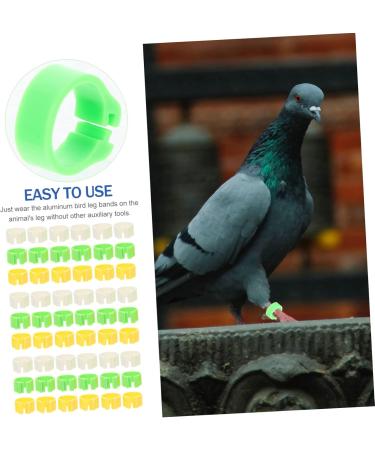 BCOATH Colored Tabs 300pcs Bands Small Green Pigeons Bird Outdoor Ring Finch Classification Doves Pigeon Dove Clip Ducks Colorful White Pet Birds Marking for Band Parrots Bright Professional Chicks 1.3X1.3X0.5CM As Shown - Buy Online on SooperMarket.com