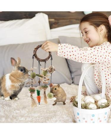 ERKOON Rabbit Hamster Hanging Chew Toys - Applewood Boredom Breaker with Grass Ball and Carrot Treats for Small Pets - Buy Online on SooperMarket.com