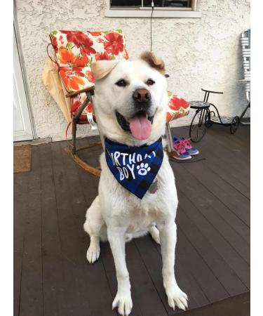 Dog Birthday Boy Bandana Dog Bandana Christmas Birthday Gift Washable Triangle Scarf Soft Pet Decorations Neckerchief Bow Ties for Small Medium Dog (Blue) - Buy Online on SooperMarket.com