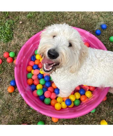 MYSXN 20PCS Colorful Ping Pong Balls for Pong Game and DIY Arts - Plastic Table Tennis Balls for Kids - Buy Online on SooperMarket.com