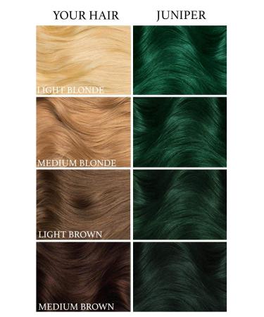 Lunar Tides Juniper Green Hair Dye - 4 fl oz (Pack of 1) | Semi-Permanent Color - Buy Online on SooperMarket.com