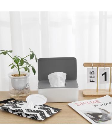 Altcompluser Baby Wet Wipes Box Set - 1 Wipes Container & 2 Reusable Donor Bags for Home & On-the-Go - Buy Online on SooperMarket.com
