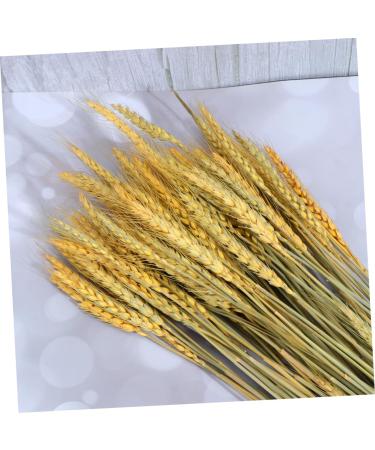 MAGICLULU 1 Decor Natural Wheat Rural Wheat Dried Wheat Simulation Wheat Dried Flowers Bouquet - Buy Online on SooperMarket.com