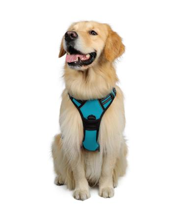Rabbitgoo dog harness medium -sized dogs anti -train dishes dog with control no pull adjustable dog dishes large dogs breathable reflex stripes breast harness dog safe guide blue green XL (1 Pack) blue -green