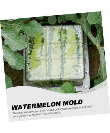OSALADI 2pcs Pumpkin Fruit Tools Vegetable Growth Mold Large Pole Shaping Mold Watermelon Square Former 15x15cmx2pcs Transparentx2pcs - Buy Online on SooperMarket.com