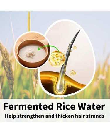 Rice Shampoo Bar & Conditioner Set | Natural Hair Growth & Strengthening | Paraben & Sulfate Free | Rice Water Infused | 2pc for Thinning Hair - Buy Online on SooperMarket.com